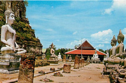 Thailande - The Remaining Budha-lmages In The Compound Of Wat Yoi Chai-Mongkhol In Ayudhaya-Province - Statues - Temple  - Thaïlande