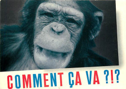 Animaux - Singes - Chimpanzé - Carte à Message - Voir Timbre - CPM - Voir Scans Recto-Verso - Monkeys