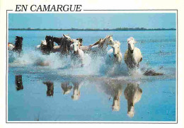 Animaux - Chevaux - Camargue - Chevaux Sauvages Dans Les Marais - CPM - Voir Scans Recto-Verso - Chevaux