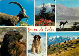 Animaux - Faune De L'Alpe - Multivues - CPM - Voir Scans Recto-Verso - Autres & Non Classés