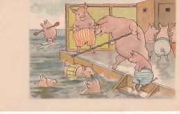 COCHONS                LECON DE NATATION - Pigs