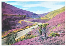 CPSM 10.5 X 15 Grande Bretagne ECOSSE (1) The Slochd Pass, Inverness-shire  Le Col Slochd, Comté D'Inverness - Inverness-shire