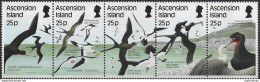 1987 Ascension Sea Birds 5v. MNH SG N. 442/446 - Andere & Zonder Classificatie