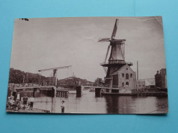 HAARLEM ( Blanco Rug En/of Met Stempel > Foto Römmler & Jonas Dresden 1898 ) ! - Lieux