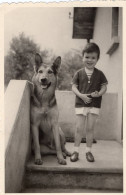 Grande Photo D'un Petit Garcon Avec Sont Beau Chien Posant Sur Les Escalier De Sa Maison - Personnes Anonymes