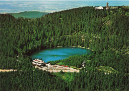 ALLEMAGNE - Berghotel Mummelsee - Mummlsee SchwarldhochstraBe - Vue Générale - Carte Postale Ancienne - Autres & Non Classés