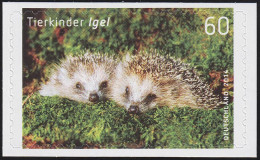 3054 Tierkinder Igel Selbstklebend NEUTRALE Folie, 10 Einzelmarken, Alle ** - Unused Stamps
