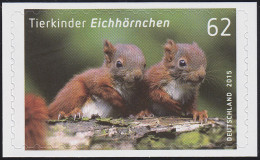 3129 Eichhörnchen, Selbstklebend NEUTRALE Folie, 10 Einzelmarken, Alle ** - Unused Stamps