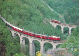 Le Train Grand Spectacle Des Alpes Francaises Scenic Mountain Railway Train Chemin De Fer De La Mure - Trains