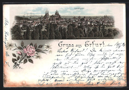 Vorläufer-Lithographie Erfurt, 1894, Totalansicht  - Erfurt