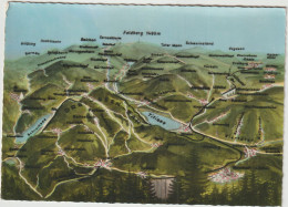 Dav : Suisse :  Sxhwarzwald , Carte  Géographique , Titisee, Schluchsee, Lac, Feldberg, Bernau, .. - Altri & Non Classificati