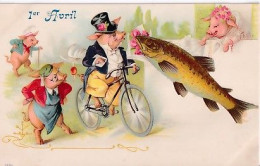 COCHONS HUMANISES      CYCLISTE - Pigs