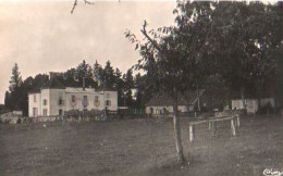 POISSON-chateau De Martigny - Autres & Non Classés