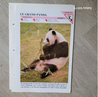 Fiche Animaux  **  Ordre Carnivores ** Le Grand Panda - Animaux