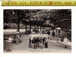 68170 - BRUXELLES PARC DU CINQUANTENAIRE LES ANES - Parks, Gärten