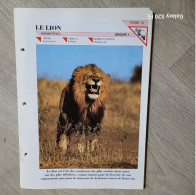 Fiche Animaux  **  Ordre Carnivores ** Le Lion - Animales