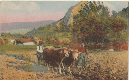AGRICULTURE - Tableau Pyrénéens - Labour Pour Les Semailles - Attelage De Boeufs - Cultures