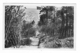 CPA BAR SUR AUBE, ASCENSION DE STE SAINTE GERMAINE, LE SENTIER RUSTIQUE, AUBE 10 - Bar-sur-Aube