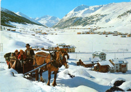 Livigno (Sondrio) - Panorama - Sondrio