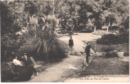 FR66 VERNET LES BAINS - MTIL 310 - Une Allée Du Parc Du Casino - Animée - Belle - Autres & Non Classés