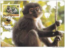 WWF - 275,33 - € 1,35 - D' CM-MC - 24-5-2000 - 250GNF - Mangabey & Baboon - Guinea 1276212 - Autres & Non Classés