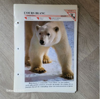 Fiche Animaux  **  Ordre Carnivores ** L'Ours Blanc - Animaux