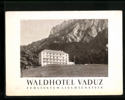 Vertreterkarte Vaduz, Waldhotel Vaduz, Inh. E- Wolfinger-Plattner, Blick Zum Hotel  - Sin Clasificación