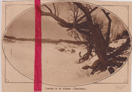 Overveen - Sneeuw In De Duinen - Orig. Knipsel Coupure Tijdschrift Magazine - 1925 - Unclassified