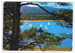 HAUTE-GARONNE - Bassin De SAINT-FERREOL - Les Régates - Editions Larrey - N° 9125 - Saint Ferreol