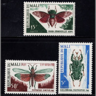 BB3726 Mali 1967 Insect Beetle  Engraved Plate 3V MNH - Mali (1959-...)