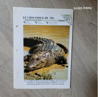 Fiche Animaux  **  Crocodiles  ** Le Crocodiles Du Nil - Animales
