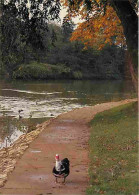 94 - Saint Maur Des Fossés - Les Bords De La Marne - Canards - CPM - Voir Scans Recto-Verso - Saint Maur Des Fosses