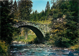 88 - Gérardmer - Le Pont Des Fées - Carte Neuve - CPM - Voir Scans Recto-Verso - Gerardmer