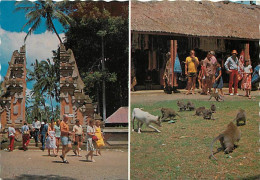 Indonésie - Bali - Sangeh, Hutan Kera - Wood Of Monkey, Sangeh - Singes - Carte Neuve - Indonesia - CPM - Voir Scans Rec - Indonesia