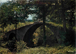 42 - Saint Marcellin - Pont Du Diable - CPM - Voir Scans Recto-Verso - Sonstige & Ohne Zuordnung