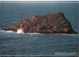 22 - Le Cap Fréhel - L'Amas Du Cap - L'un Des Trois îlots De La Réserve Biologique Du Cap Fréhel - Carte Bretagne Vivant - Cap Frehel