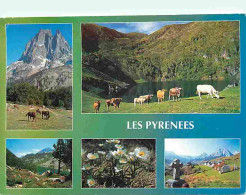 Animaux - Vaches - Pyrénées - Multivues - Flamme Postale - CPM - Voir Scans Recto-Verso - Kühe