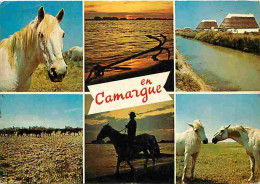 Animaux - Chevaux - Camargue - Multivues - Voir Scans Recto Verso  - Horses