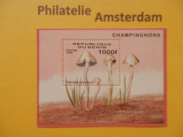 Benin 1996, FLORA MUSHROOMS CHAMPIGNONS PILZE SETAS PADDESTOELEN: Mi 855, Bl. 22, ** - Champignons