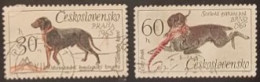 CECOSLOVACCHIA 1965 ESPOSIZIONE CANINA  DI PRAGA E BRNO - Used Stamps