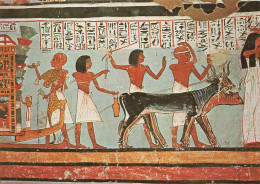 EGYPTE - Valley Of The Kings - Wall Painting Showing Religious Ceremonies - Carte Postale Ancienne - Louxor