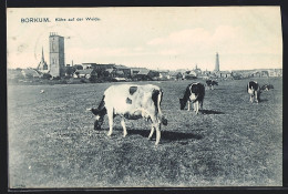 AK Borkum, Kühe Auf Der Weide Und Alter Leuchtturm  - Borkum