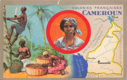 MIKIBP13-016- CAMEROUN COLONIES FRANCAISES EDITION PRODUITS CHIMIQUES LION NOIR - Cameroon