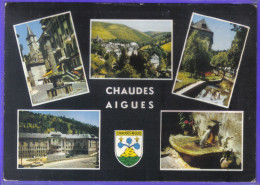 Carte Postale 15. Chaudes-Aigues  Blason  Très Beau Plan - Autres & Non Classés