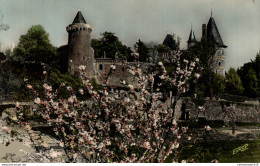 NÂ°35378 Z -cpsm Pornic -printemps Sur Le ChÃ¢teau- - Pornic