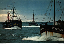 NÂ°36069  Z -cpsm Bateaux De PÃªche Du Guilvinec - Pêche