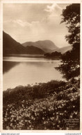 NÂ°36596 Z -cpa Wordsworth's -Daffodils On Ullswater- - Autres & Non Classés