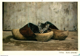 NÂ°38072 Z -cpsm Chat Dans Un Sabot -photo De Solange St Arroman- - Katten