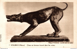 NÂ°37933 Z -cpa Volubilis -chien En Bronze TrouvÃ© Dans Les Ruines- - Kunstgegenstände