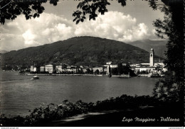 NÂ°38507 Z -cpsm Lago Maggiore -Pallanza- - Other & Unclassified